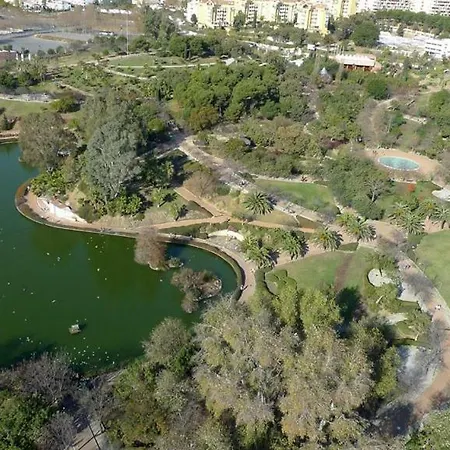 Estudio Gamonal Daire Benalmádena